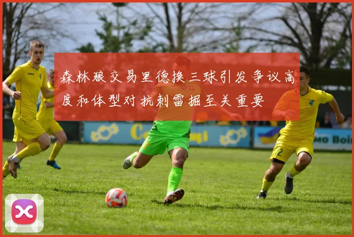 森林狼交易里德换三球引发争议高度和体型对抗刺雷掘至关重要